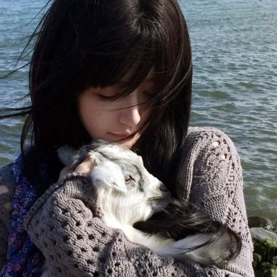银杏床